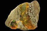 Precious, Ethiopian Fire Opal ( g) #190253-1